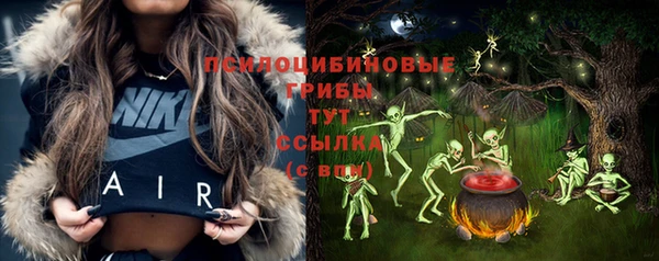 Альфа ПВП Алексин