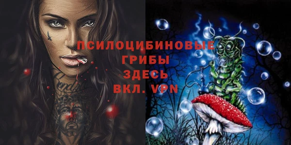 ешки Алексеевка