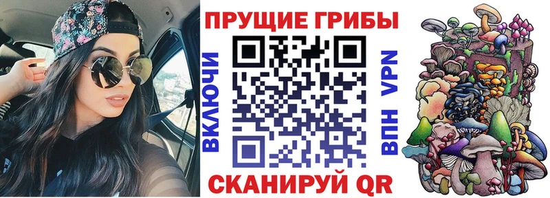 купить наркотики цена Кирс Галлюциногенные грибы Psilocybine cubensis